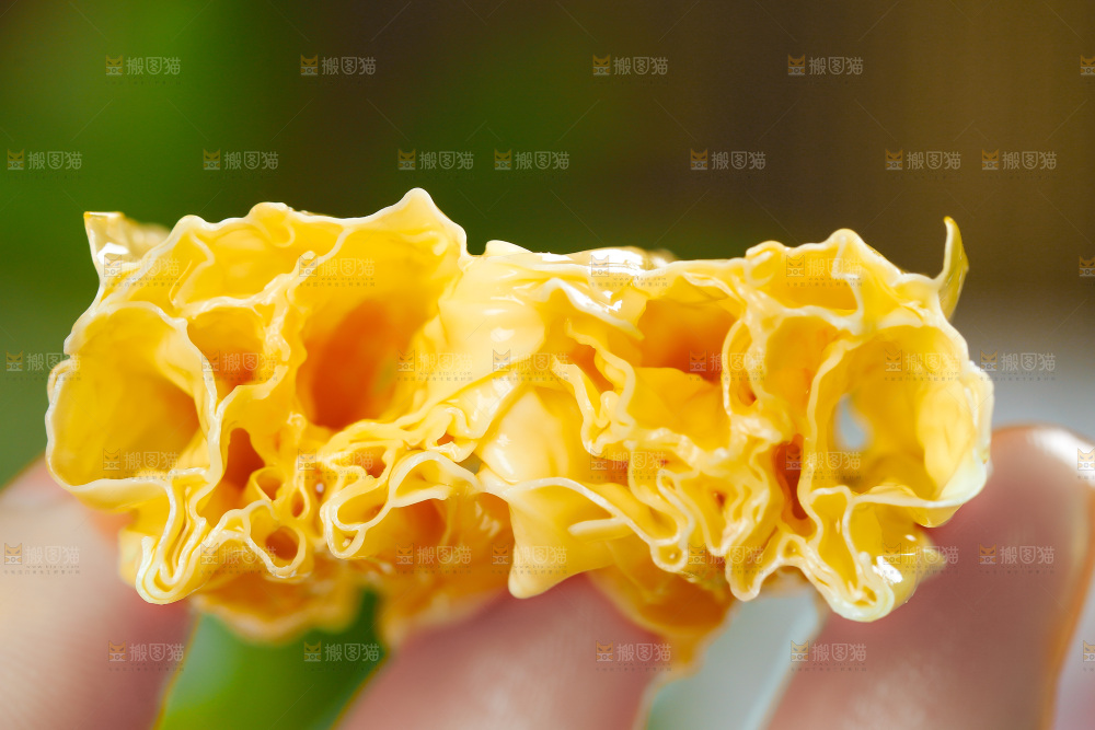 手里拿着腐竹