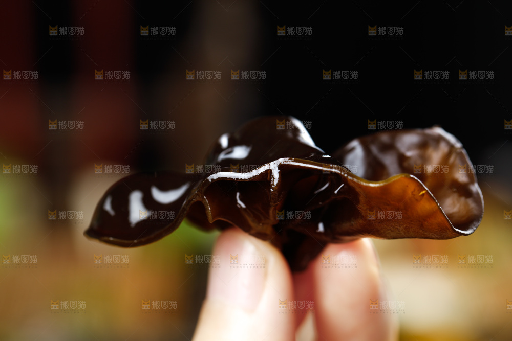 手里拿着黑木耳