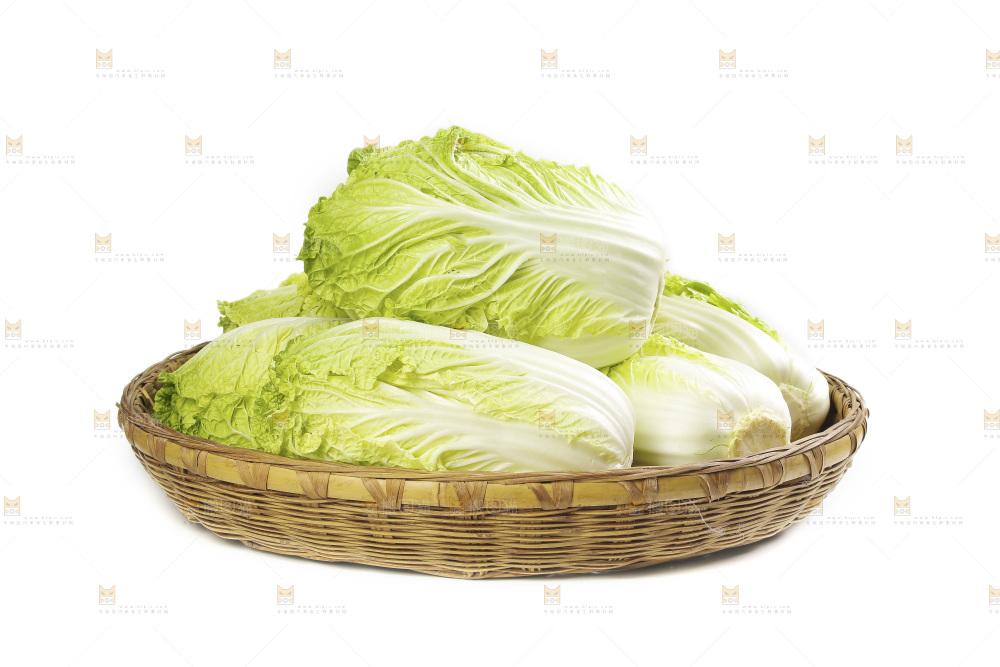 篮子里装着大白菜