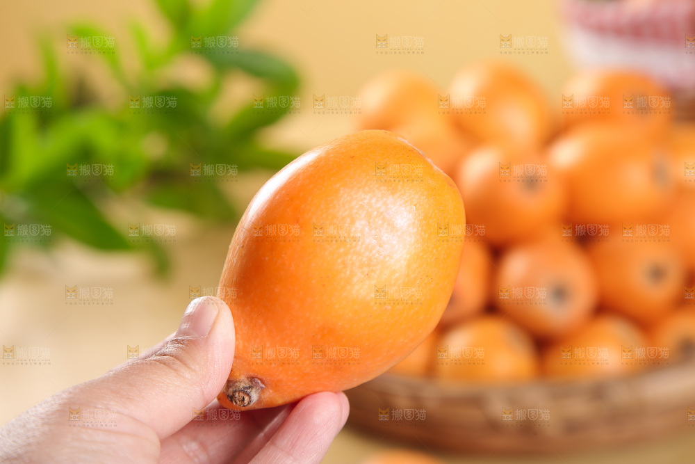 手里拿着大枇杷