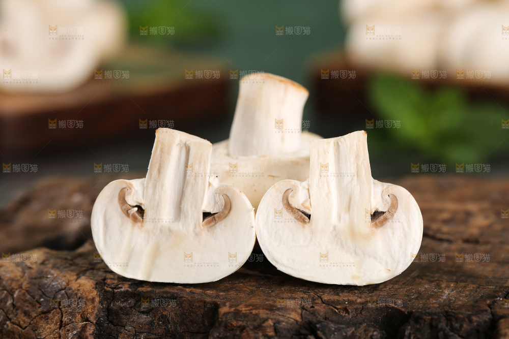 深底上的口蘑