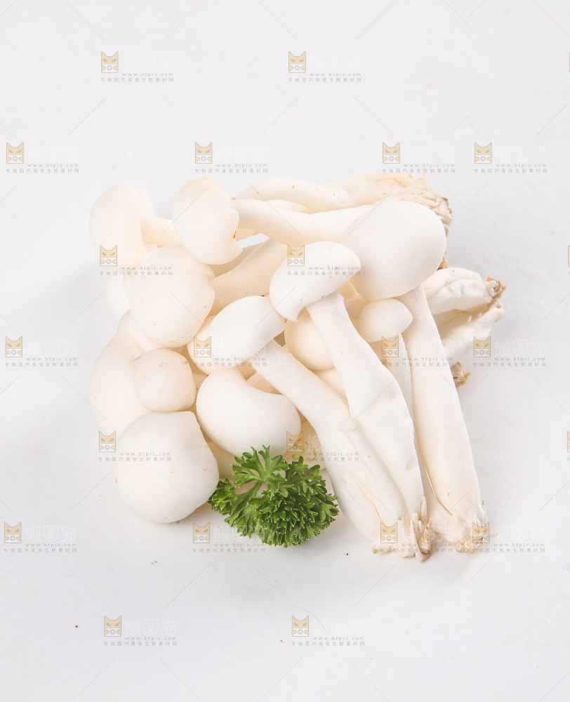 白底上的白玉菇