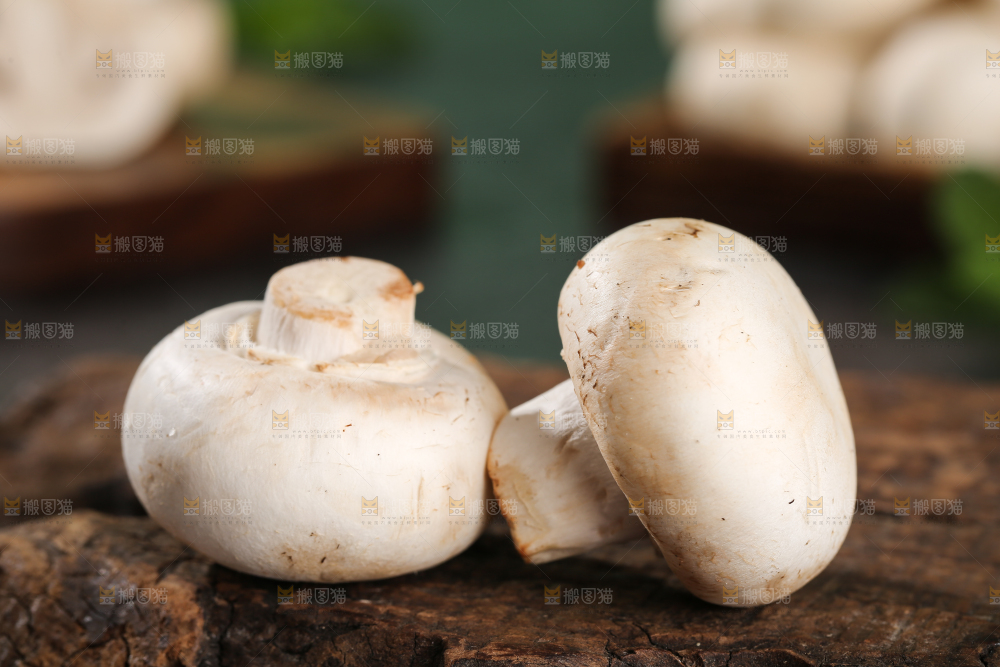 深底上的口蘑