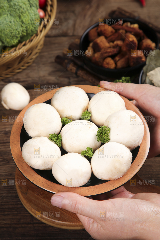 深底上的口蘑