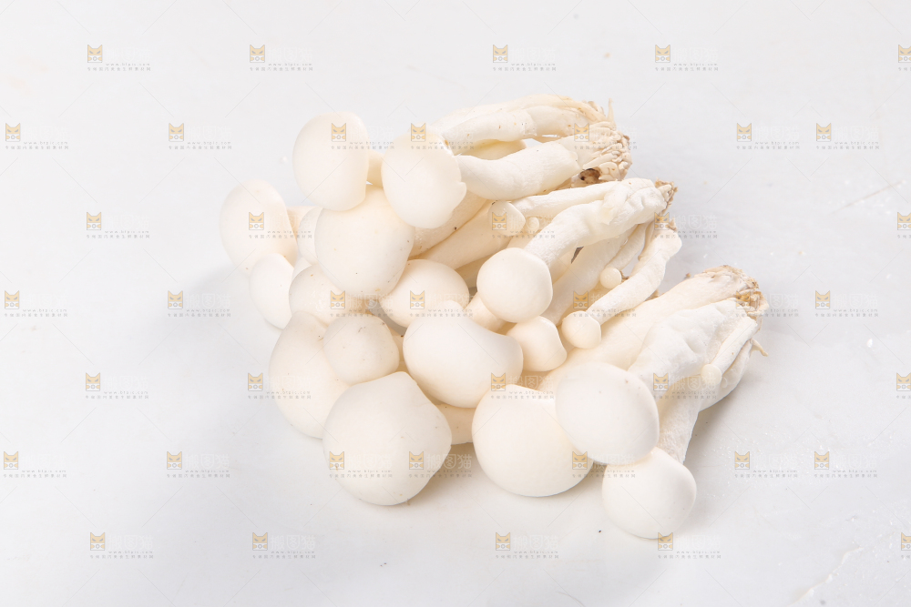 白底上的白玉菇