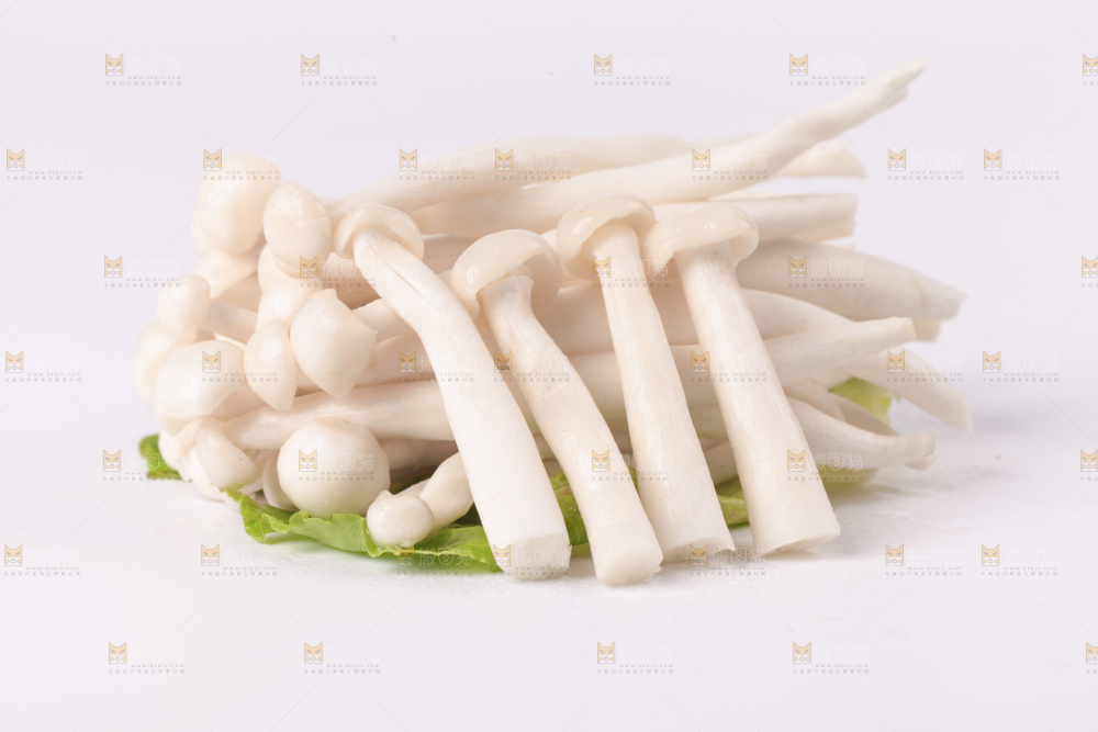 白底上的海鲜菇