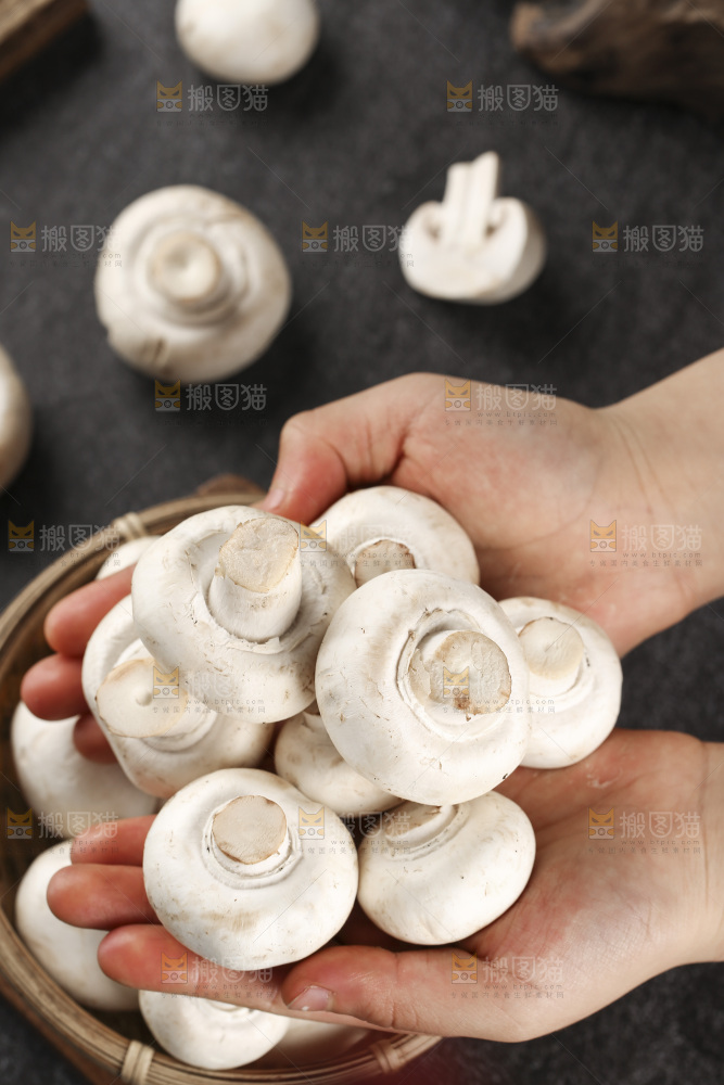 深底上的口蘑