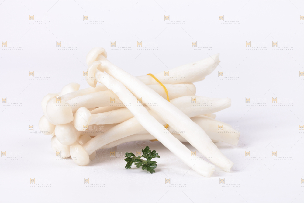白底上的海鲜菇