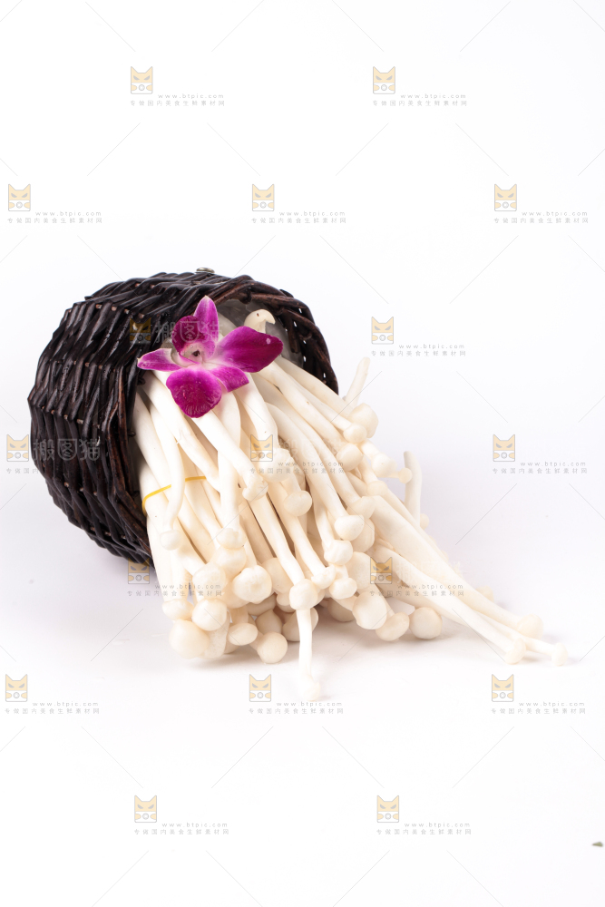 白底上的海鲜菇