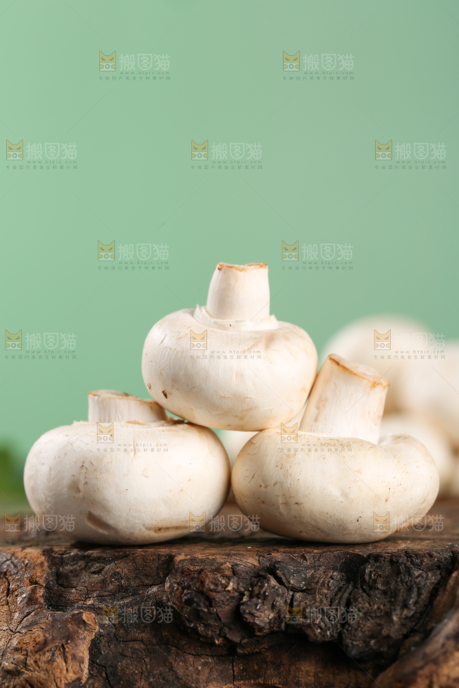 深底上的口蘑