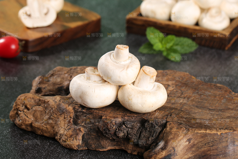 深底上的口蘑