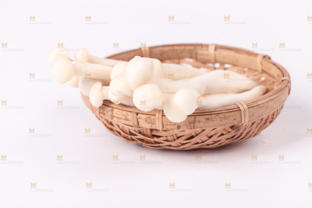白底上的海鲜菇