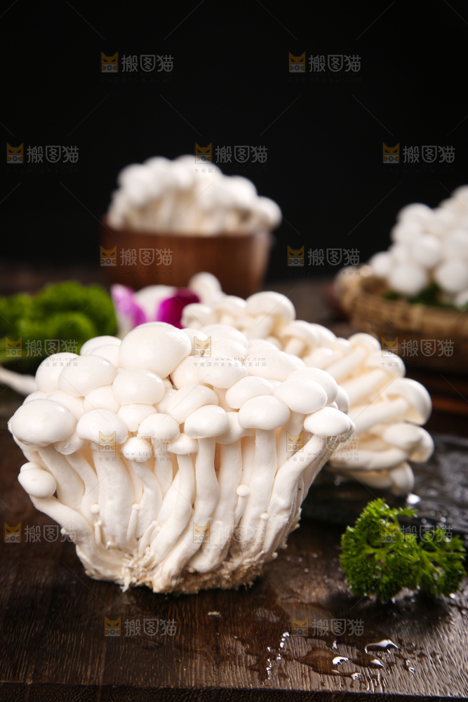 深底上的白玉菇