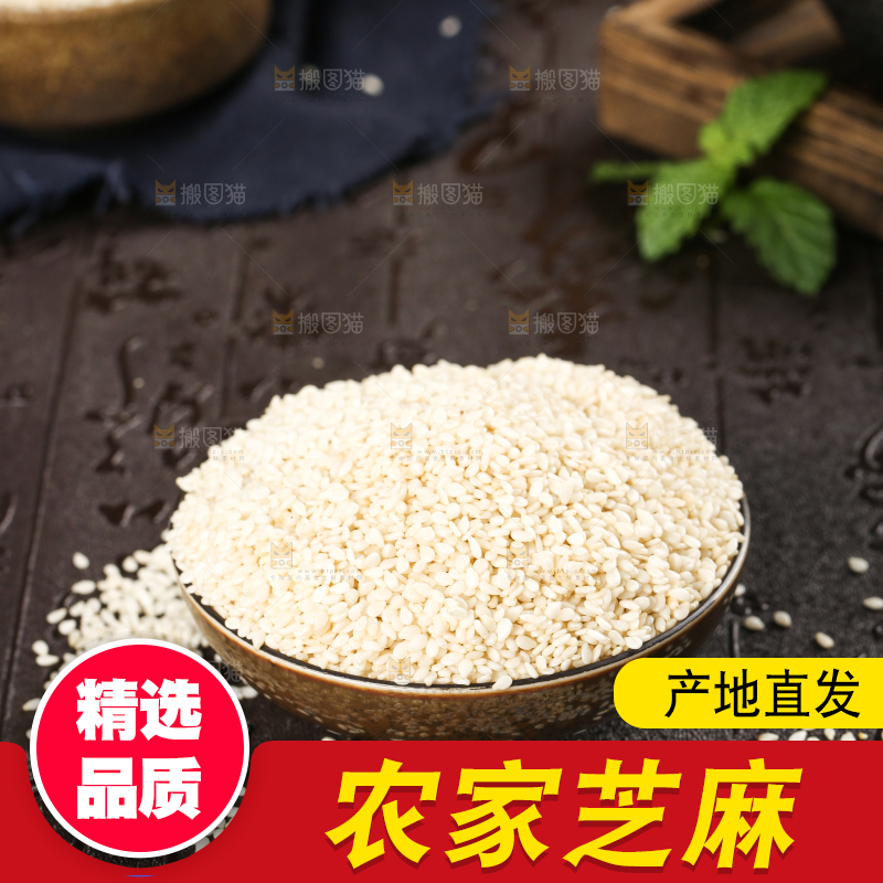 黑底上放着一碗东北芝麻和勺子上挖着芝麻