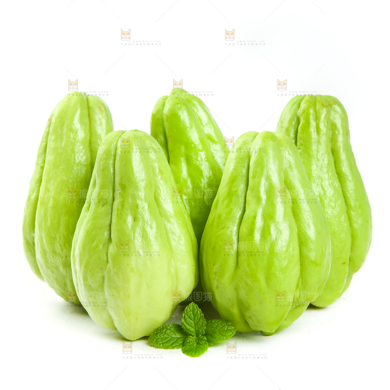 白底上的佛手瓜