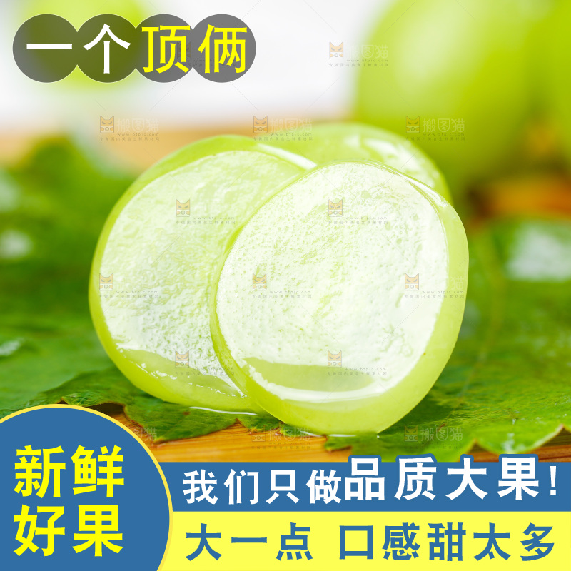 木底上的晴王香印青提