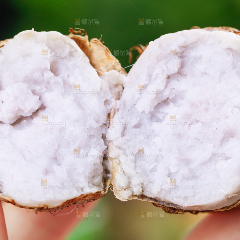 手上拿着小芋头