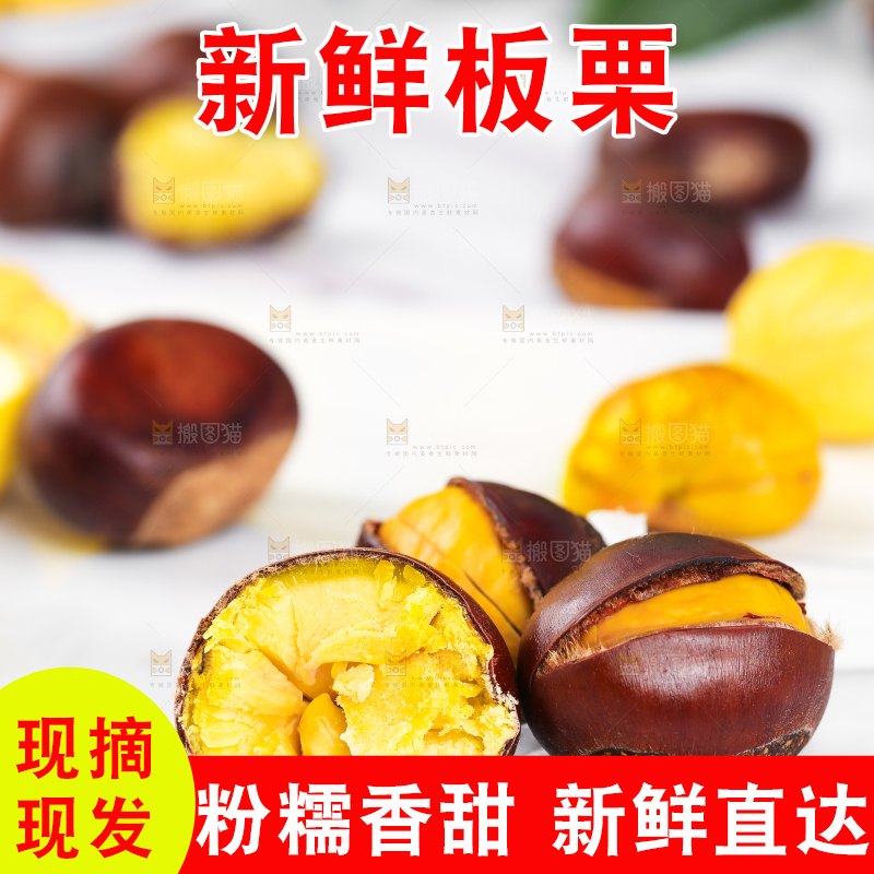 白底上熟的开口板栗