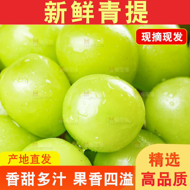 一堆新鲜的阳光玫瑰青提