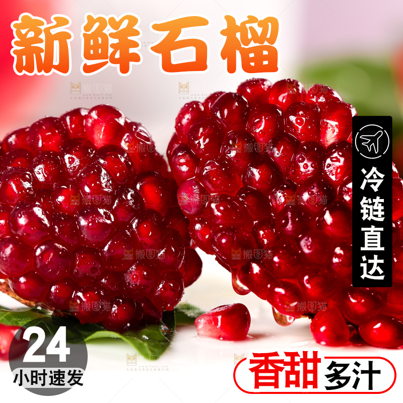 白石底上的软籽红石榴