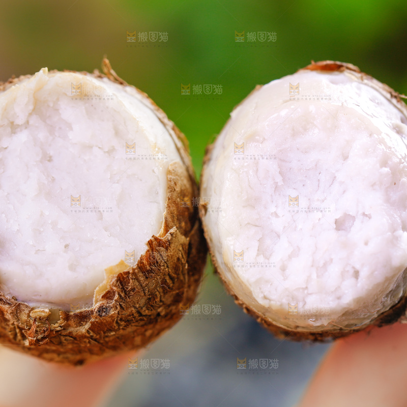 手上拿着小芋头