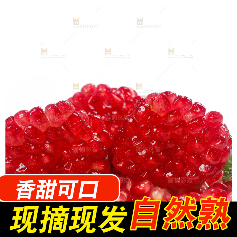 白底上的软籽石榴籽