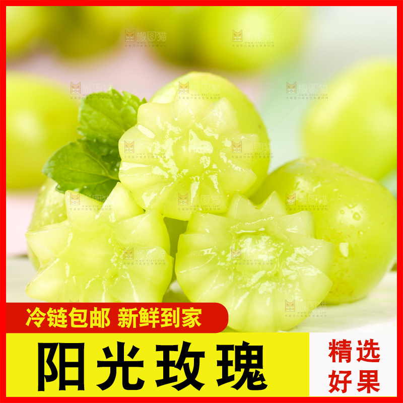 石垫上的无籽青提
