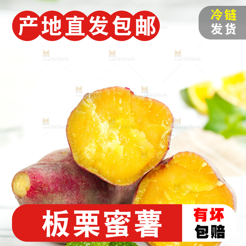 白石板上的山东板栗蜜薯