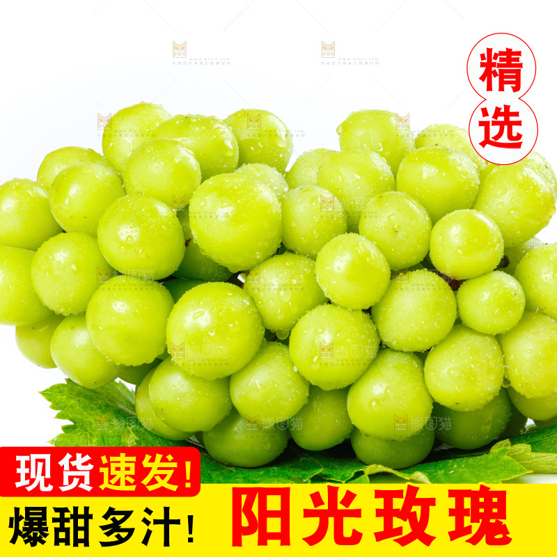 白底上的香印青提