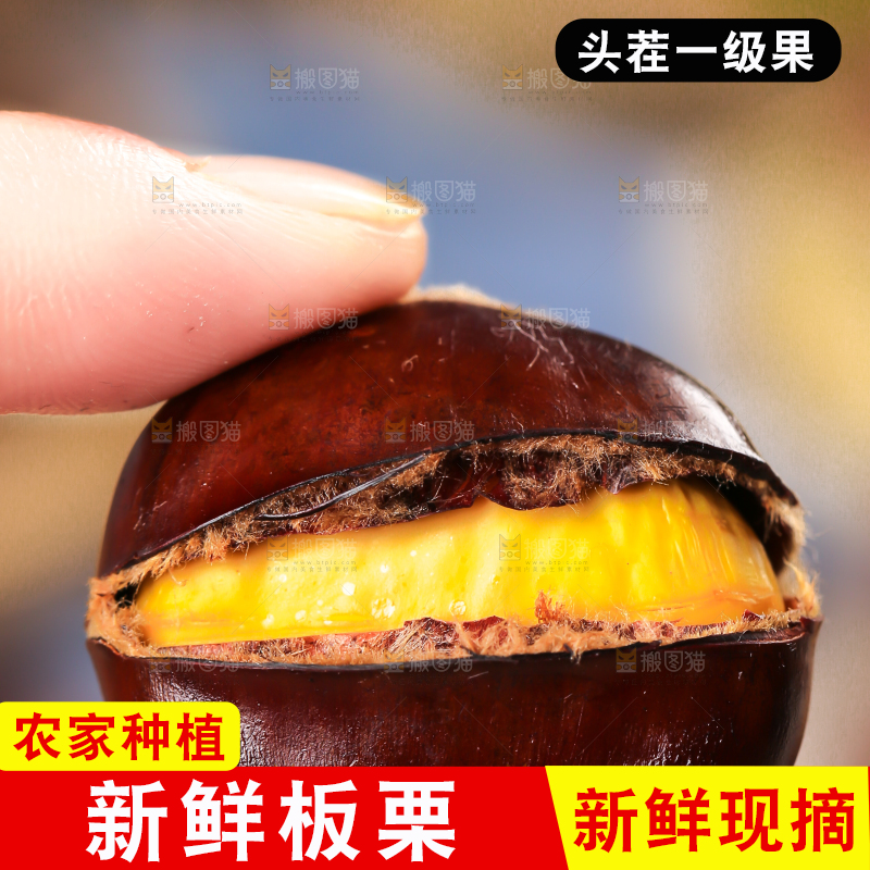 手上拿着开口的板栗