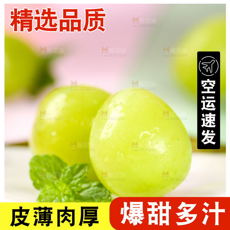 石垫上的阳光玫瑰