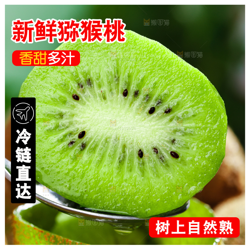 勺子上挖着绿心奇异果果肉