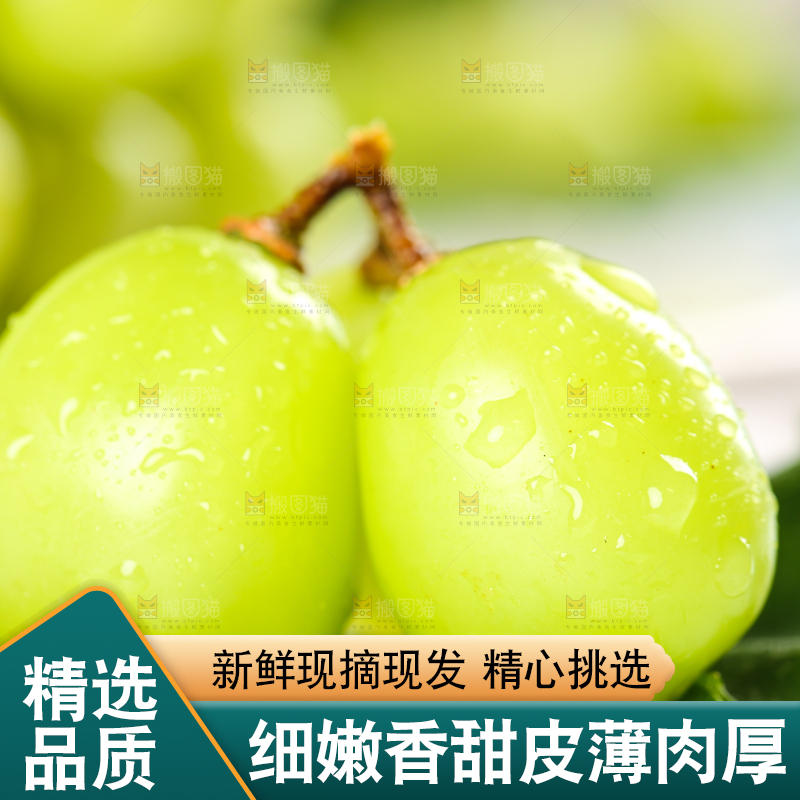 叶子上的香印青提