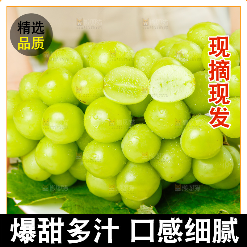 手上端着一盘晴王青提