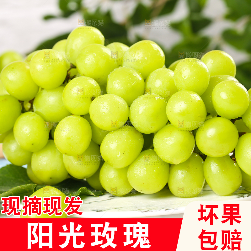 格子底上一盘云南阳光玫瑰青提