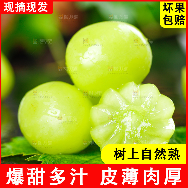 黑底上的阳光玫瑰葡萄