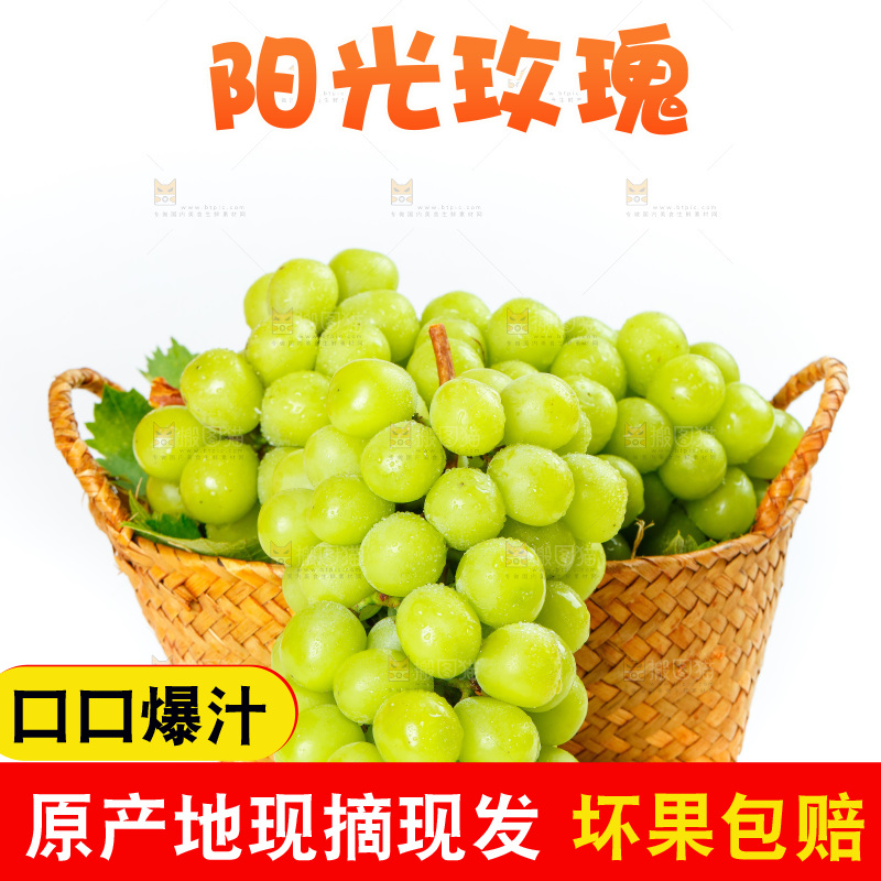 白底上的阳光玫瑰葡萄
