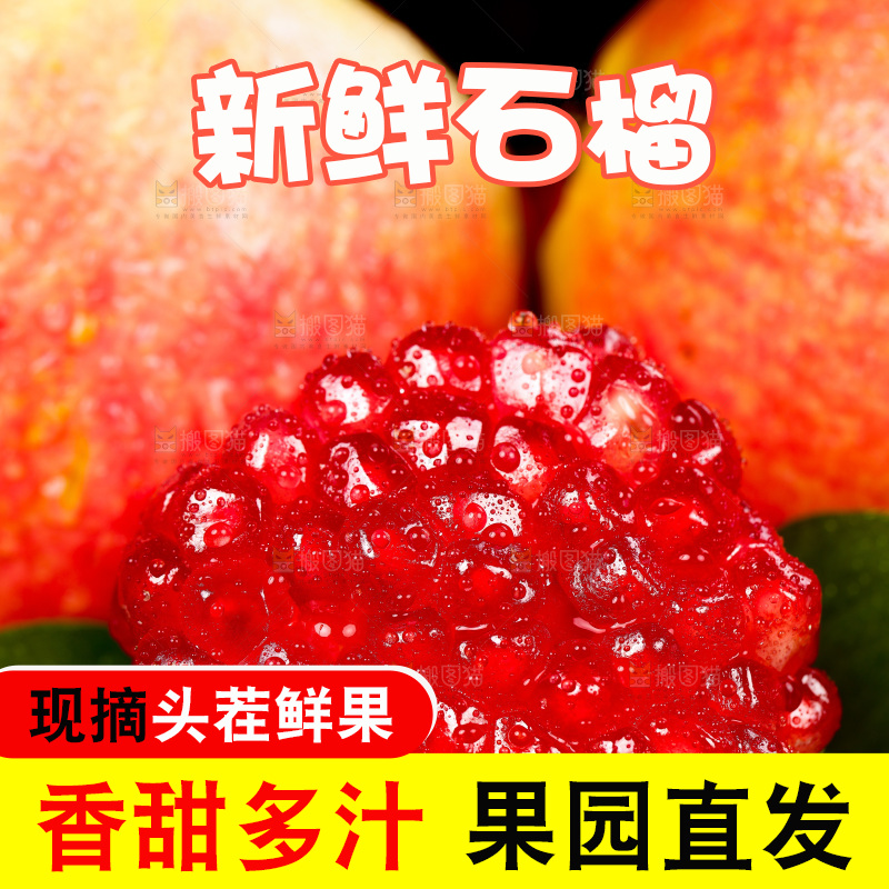 黑底上一盘软籽红石榴