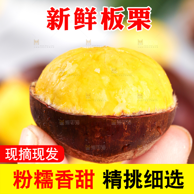 手上拿着迁西板栗