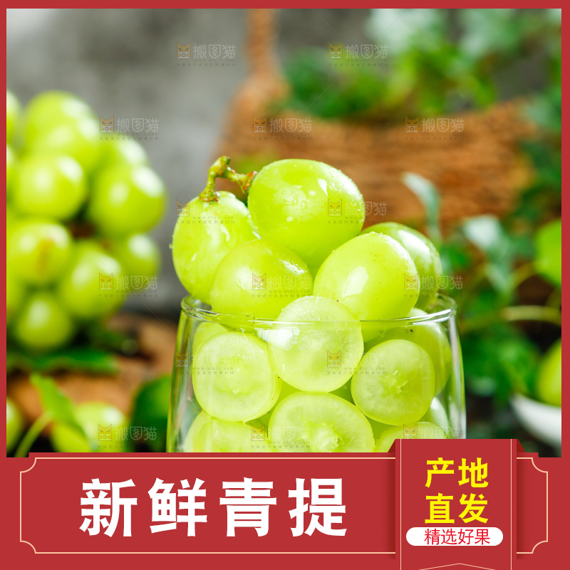 杯子里放着阳光玫瑰