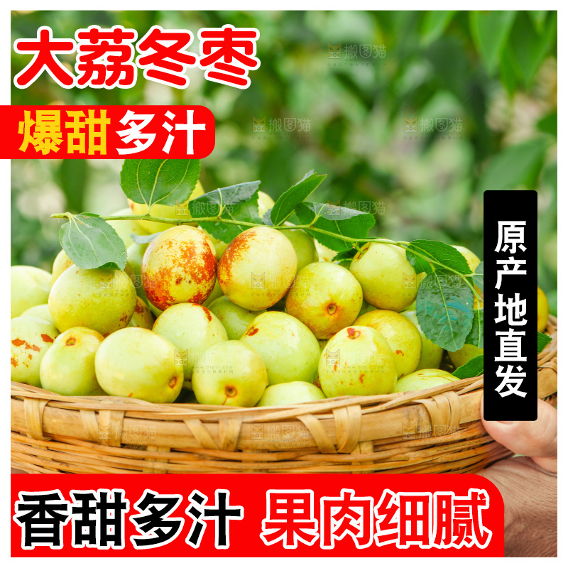 农民手上端着一篮新鲜冬枣