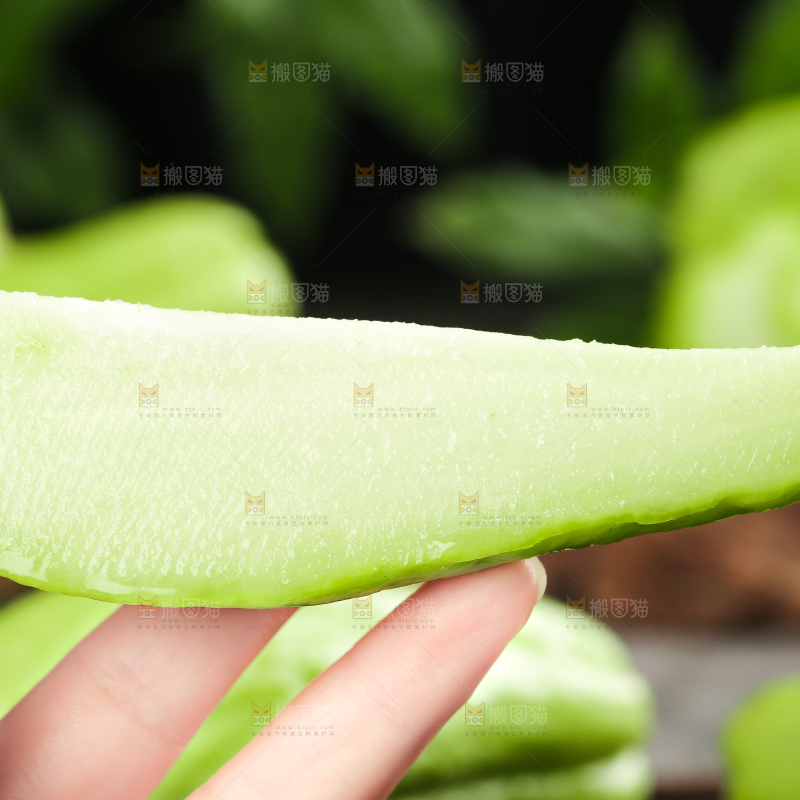 手上拿着捧瓜