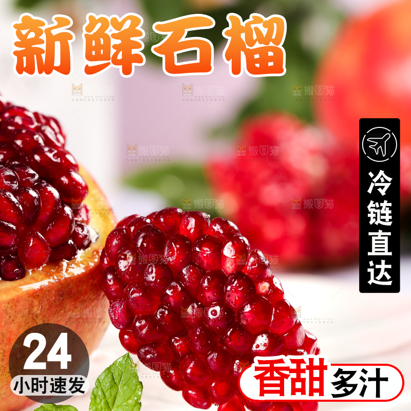 白石底上的软籽红石榴