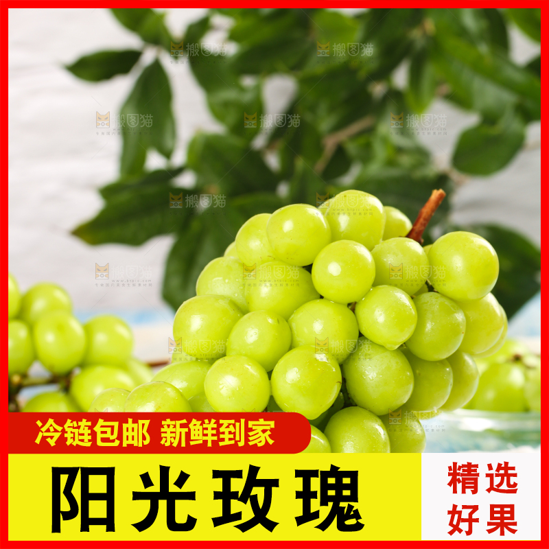 格子底上一盘云南阳光玫瑰青提