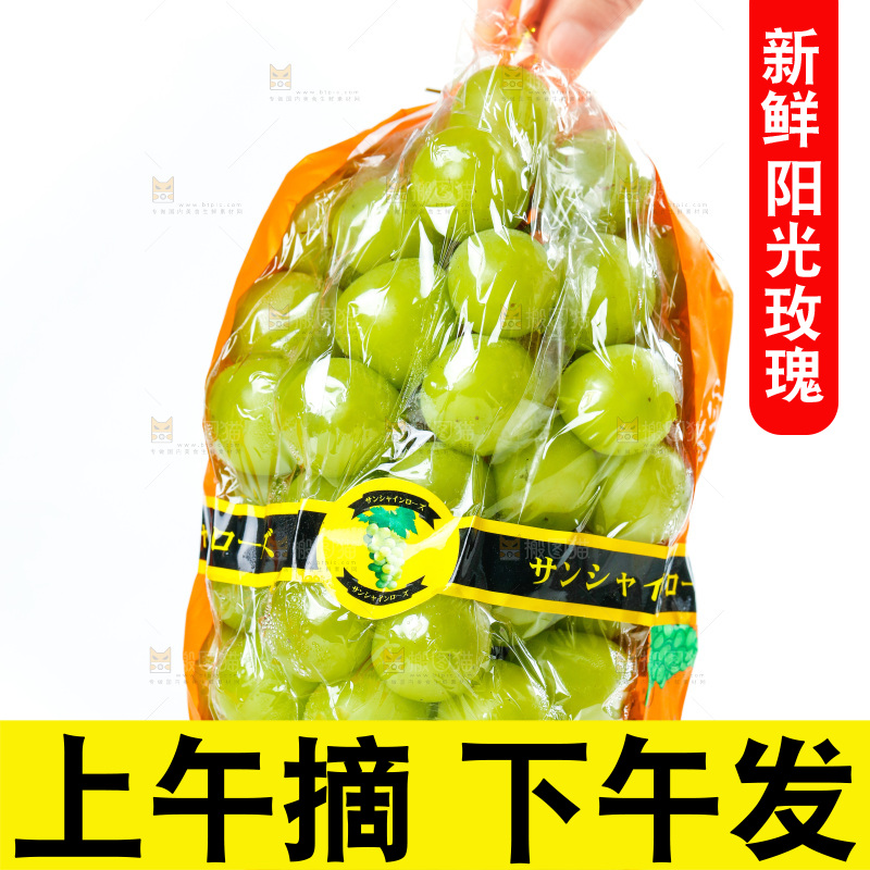 手上拿着一串阳光玫瑰