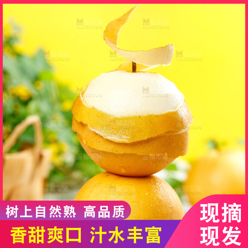 秋月梨主图