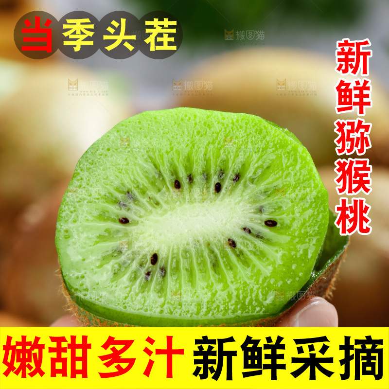 手上拿着绿心猕猴桃果肉