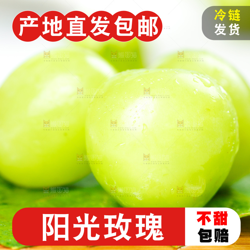木底上的晴王香印青提