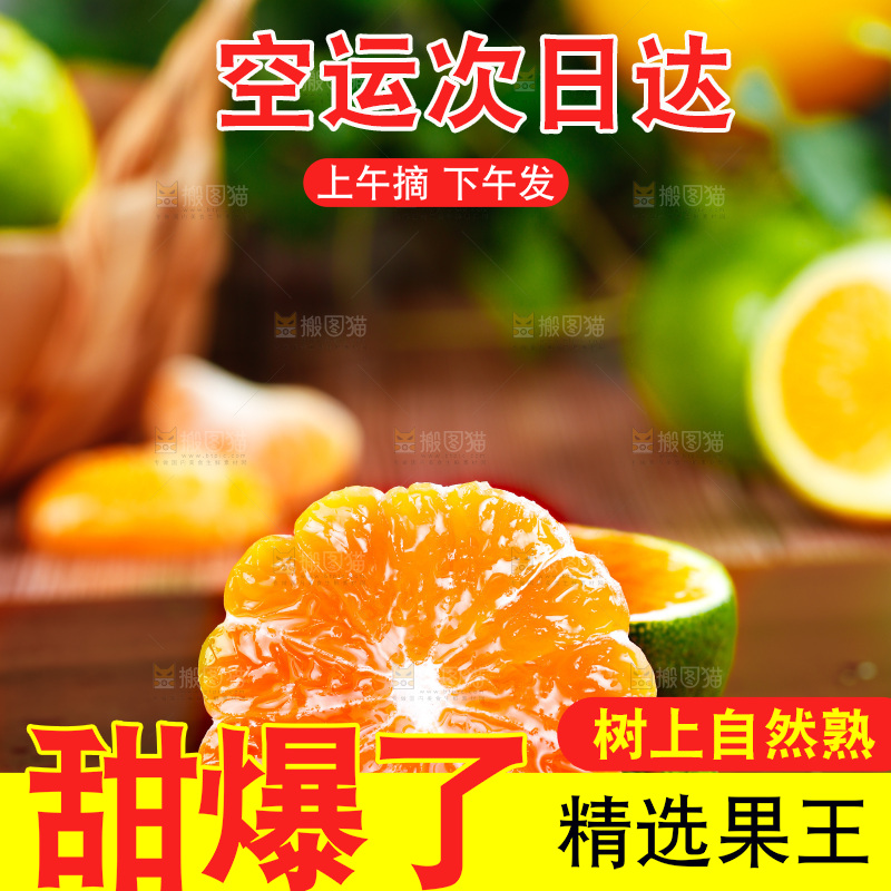 深木底上的无籽蜜桔