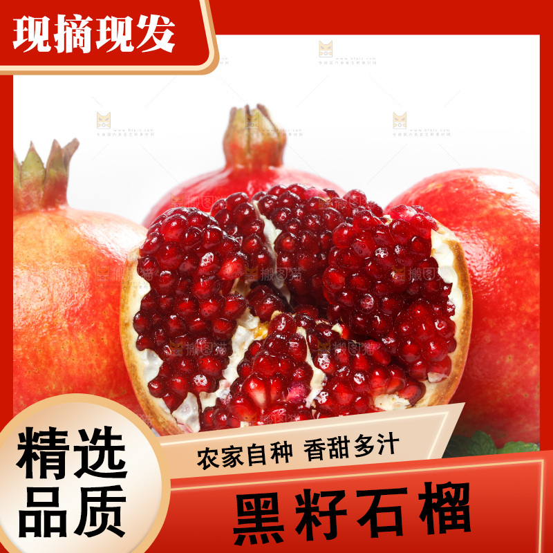 白底上的突尼斯软籽石榴